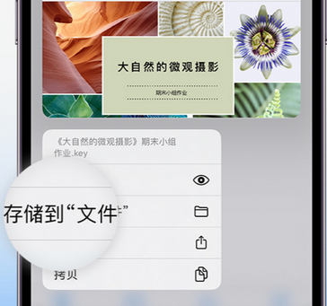 金秀apple维修中心分享iPhone文件应用中存储和找到下载文件