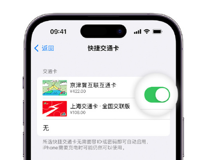 金秀apple维修点分享iPhone上更换Apple Pay快捷交通卡手绘卡面 