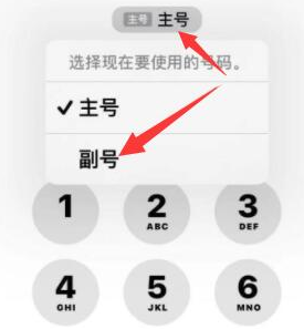 金秀苹果14维修店分享iPhone 14 Pro Max使用副卡打电话的方法 