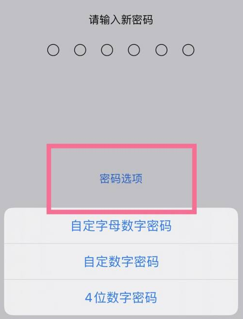 金秀苹果14维修分享iPhone 14plus设置密码的方法 