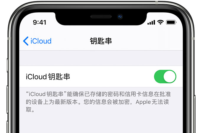 金秀苹果手机维修分享在 iPhone 上开启 iCloud 钥匙串之后会储存哪些信息 